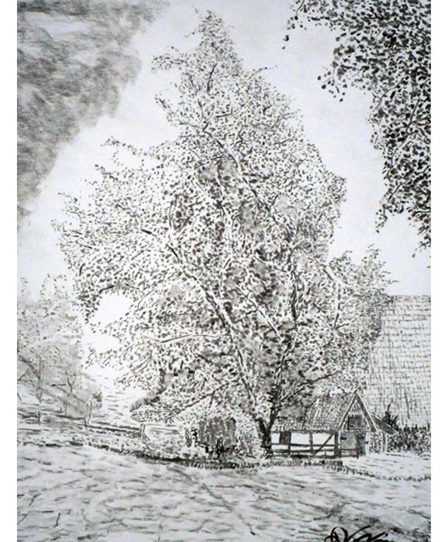 Dirk Nienemann, Künstler Holzkohlezeichnungen, Lehrte Hannover, Drucke Holzkohlezeichnungen,Abstrakte, Landschaft, Stillleben